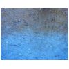 Nr.O036
ohne Titel
�l auf Papier
50 x 65
2004